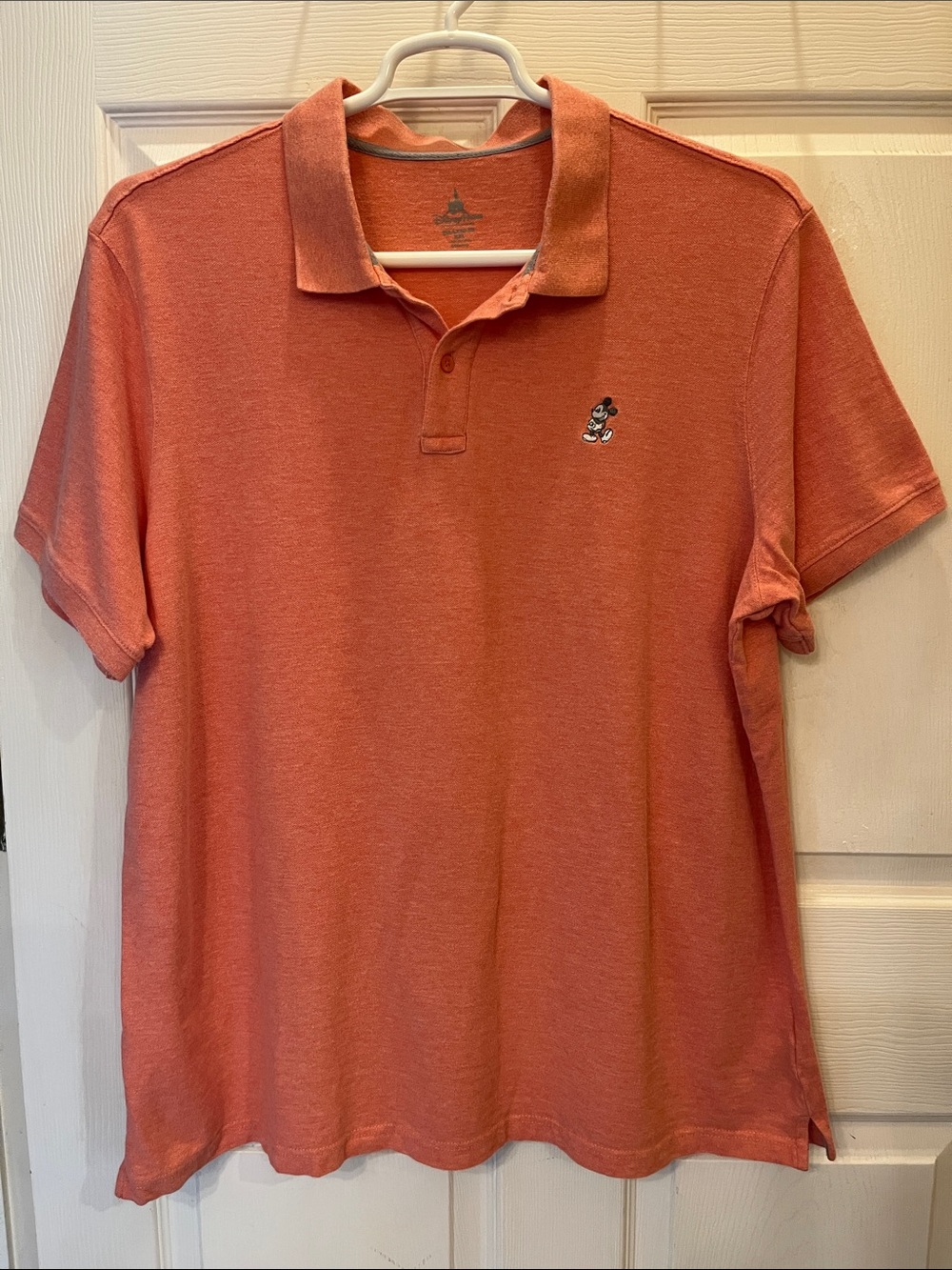 Men's Polo Shirt with Mickey Embroidery